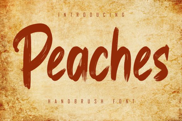Peaches: The Brushed Display Font That Elevates Every Project