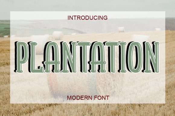 Plantation: The Typographic Choice for Distinctive Visual Communication